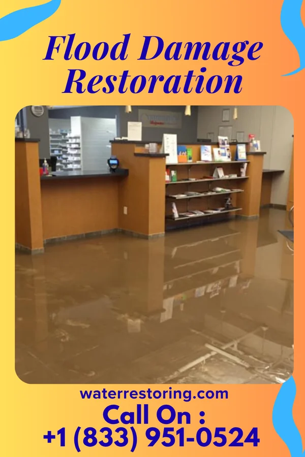 Flood Damage Restoration in Tinley Park, IL