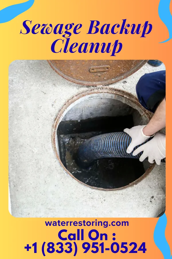 Sewage Backup Cleanup in Tinley Park, IL